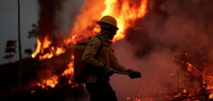 AGU obtém bloqueio de R$ 570 milhões de desmatadores da Amazônia