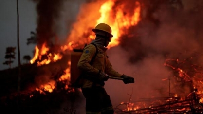 AGU obtém bloqueio de R$ 570 milhões de desmatadores da Amazônia