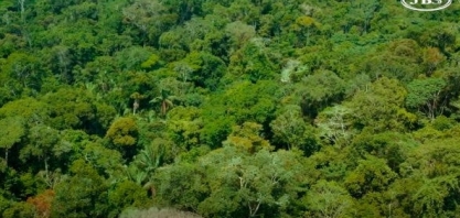 Amazônia pode ter R$ 500 mi da JBS e monitoramento do fornecedor indireto