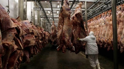  Ágio do boi cai bastante com maior oferta e pressão sobre preços da carne