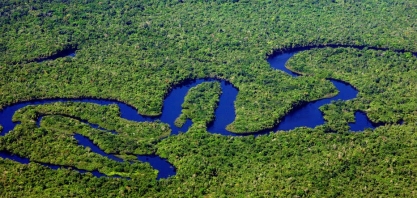 Mercado de crédito de carbono entra na mira de empresas