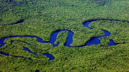 Mercado de crédito de carbono entra na mira de empresas