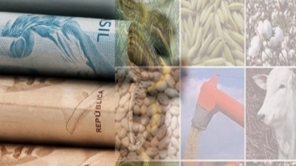 VBP deve ser recorde de R$ 823 bi em 2020, alta de 13,7% 