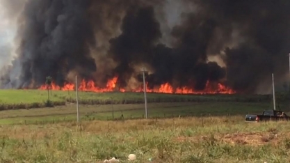 Queimadas deixam rastro de prejuizos aos produtores de cana-de-açúcar
