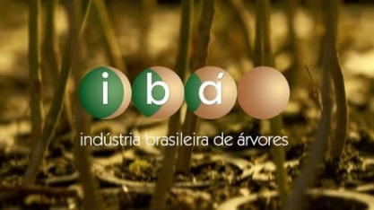 Produção de celulose cresce 5% no 2º trimestre 