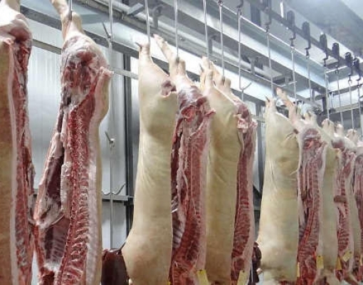 Peste suína na Alemanha abre espaço para melhor a vendas do Brasil à China 