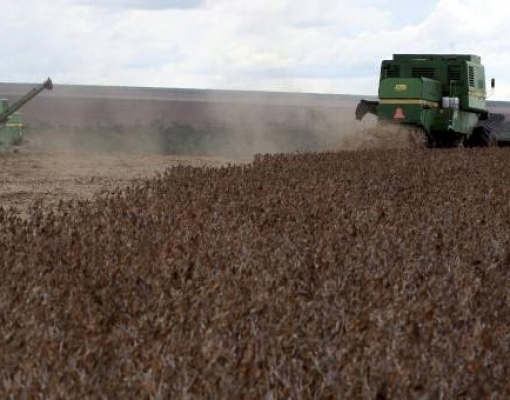 Anec eleva previsão para exportação de milho em setembro; mantém soja