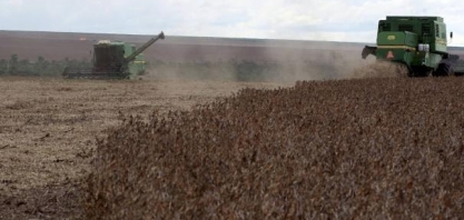 Anec eleva previsão para exportação de milho em setembro; mantém soja