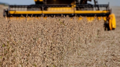 8 dos 10 municípios que mais contrataram são ligados ao agronegócio