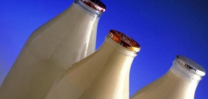 O leite de vaca feito sem vacas