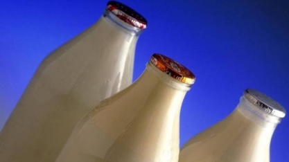 O leite de vaca feito sem vacas