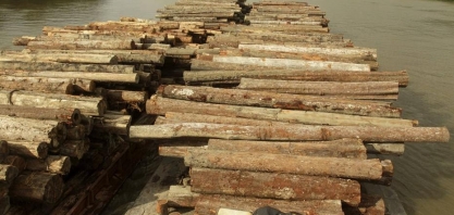 Governo quer os militares em ações de preservação da Amazônia até 2022