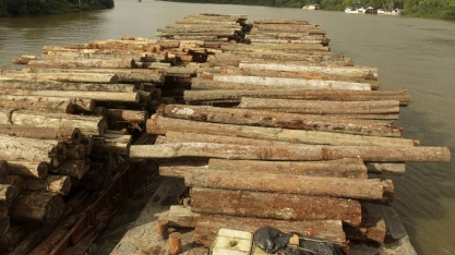 Governo quer os militares em ações de preservação da Amazônia até 2022