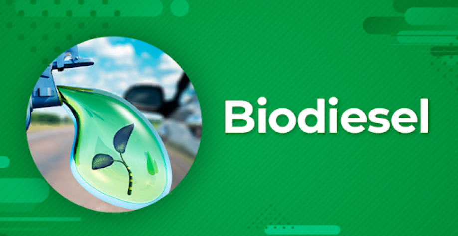 Leilão de biodiesel vende 1,19 bi litros; preço sobe 43,6%, aponta ANP