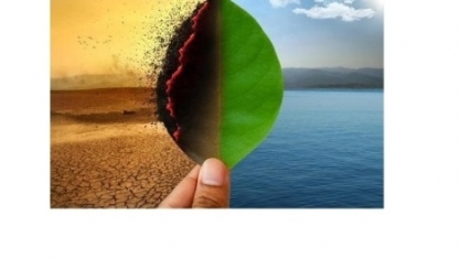 Crise de governança ambiental aumenta fuga de capital estrangeiro do País