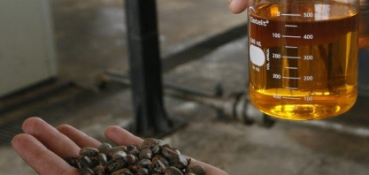 Oferta guiará mistura em leilão 76 de biodiesel