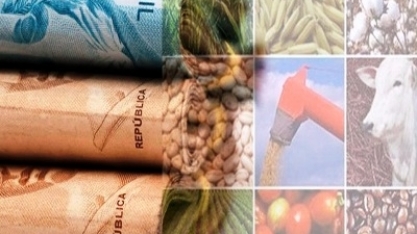 Valor Bruto da Produção em 2020 deve ser 15% e atingir R$ 855 bilhões