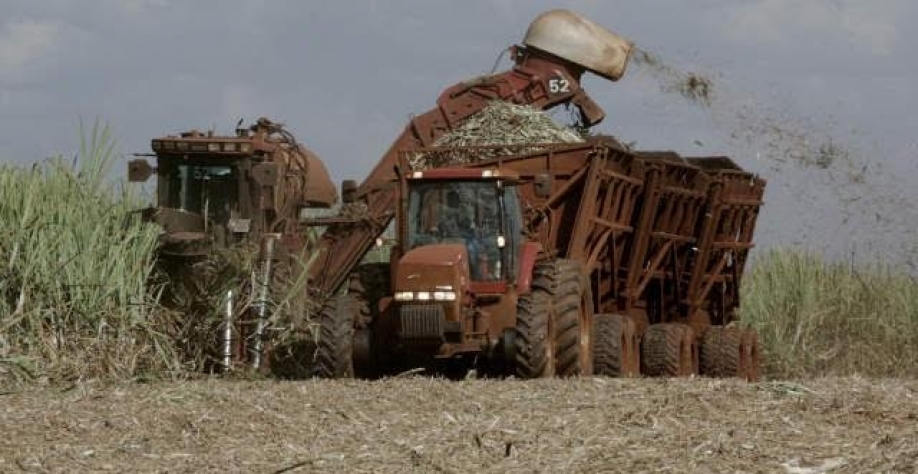 Grande aposta especulativa no açúcar bruto impulsiona produção do adoçante