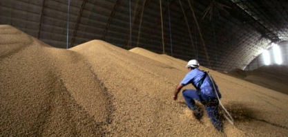 Área de grãos aumentará pelo 11º ano em 20/21 e pode gerar safra recorde