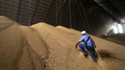 Área de grãos aumentará pelo 11º ano em 20/21 e pode gerar safra recorde
