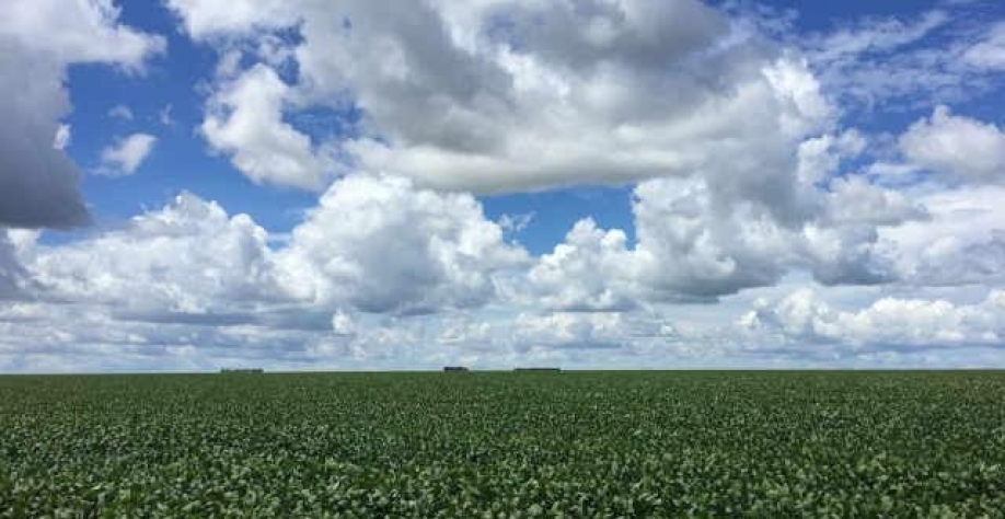 Agroconsult eleva projeção de safra de soja 20/21 a recorde de 133,4 mi t