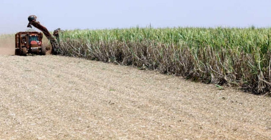 Produção de açúcar do Centro-Sul salta 60% na 2ª metade de setembro