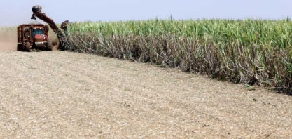 Produção de açúcar do Centro-Sul salta 60% na 2ª metade de setembro