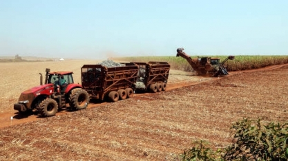 Produção de açúcar deve cair 5% em 2021/22 por seca, diz Datagro
