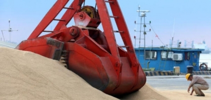 PIB do agronegócio sobe 6,75% até julho com forte produção primária