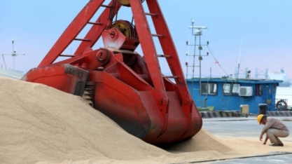 PIB do agronegócio sobe 6,75% até julho com forte produção primária