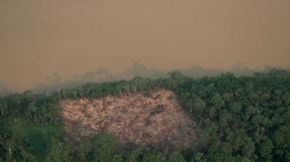Principais causas de desmatamento na Amazônia são grilagem e madeira ilegal