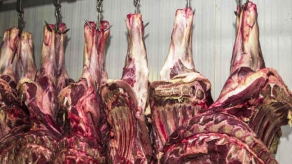 China compra menos e receita com carne bovina cai pela 1ª vez no ano