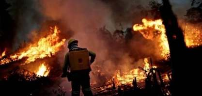 Ibama paralisa combate a incêndios alegando falta de caixa