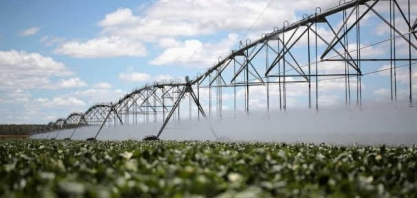 Preço do óleo de soja atinge maior nível em quase 18 anos no país