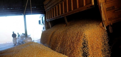 Atraso na safra de soja comprometerá oferta no Brasil em janeiro