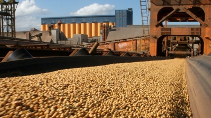 Agronegócio já tem superávit recorde de US$ 68,7 bi