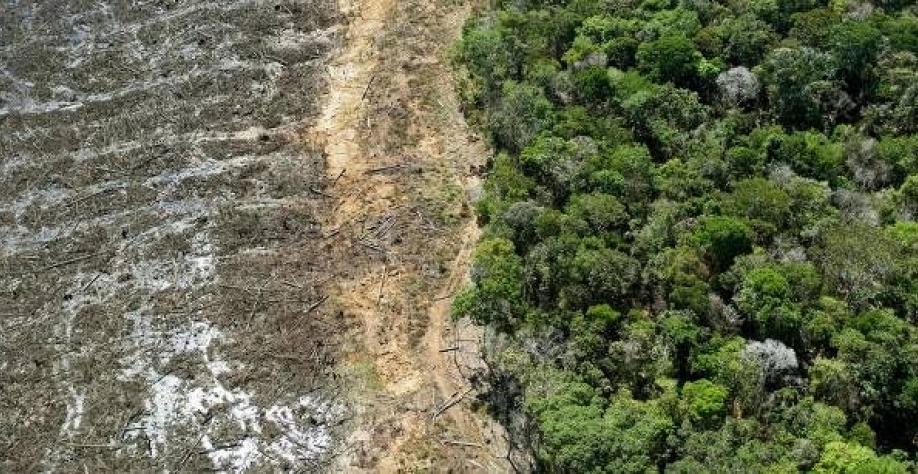 Exportações criam boom de prosperidade no 'Nortão' de Mato Grosso