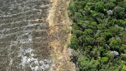 Exportações criam boom de prosperidade no 'Nortão' de Mato Grosso