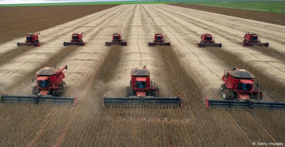 Como a agricultura pode se tornar uma protetora do clima