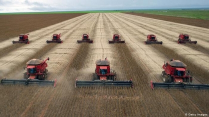 Como a agricultura pode se tornar uma protetora do clima