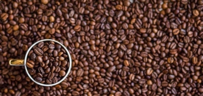 IBGE eleva previsão de safra de café do Brasil 2020 para 60,6 mi sacas