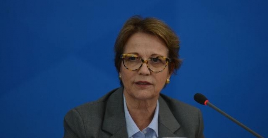 Ministra quer ampliar acesso do produtor rural à assistência técnica