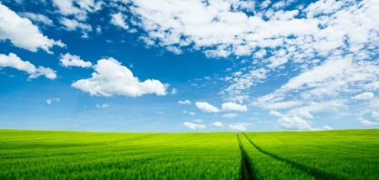 EUA:Fracasso do acordo açúcar x etanol será vantajoso se Bolsonaro retaliar