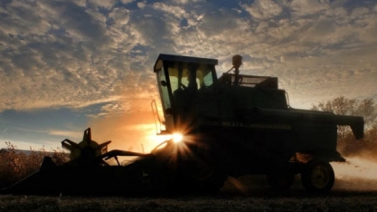 Deral: Atraso no plantio de soja do Paraná é o maior em pelo menos 5 anos
