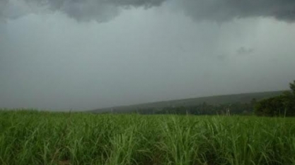 Cana: Chuva dos últimos dias no Centro-Sul ajuda mas pode ser insuficiente