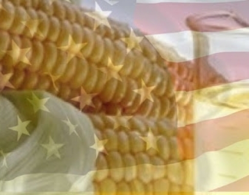 EUA: Produção semanal de etanol cai 2,76%, para 882 mil barris/dia