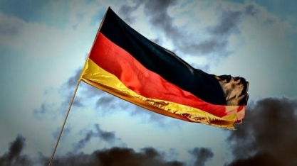 Alemanha identifica caso de peste suína africana em nova área