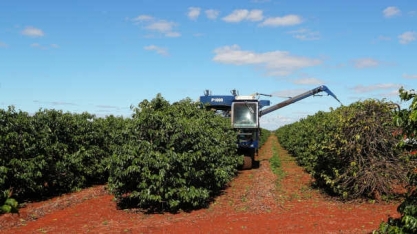 Financiamento a produtor de café soma R$ 2,7 bilhões até 1º de outubro