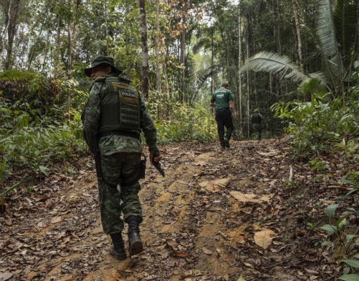 Post mistura dados verdadeiros com imprecisos sobre meio ambiente no Brasil