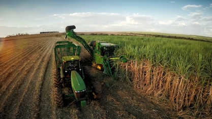 Produção de açúcar do CS sobe 36,5% na 1ª quinzena de outubro 